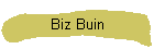 Biz Buin