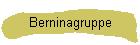 Berninagruppe